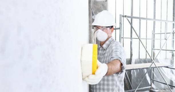 Best Mold Odor Removal Services  in Poteet, TX