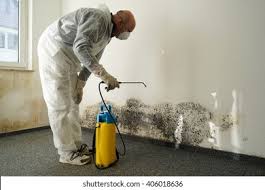 Why You Should Choose Our Mold Remediation Services in Poteet, TX